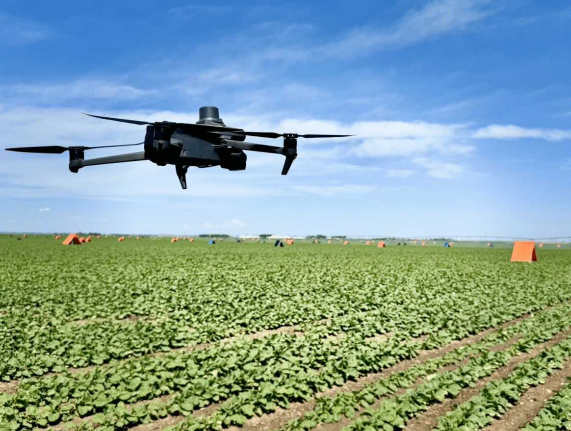 Seed Production Industry